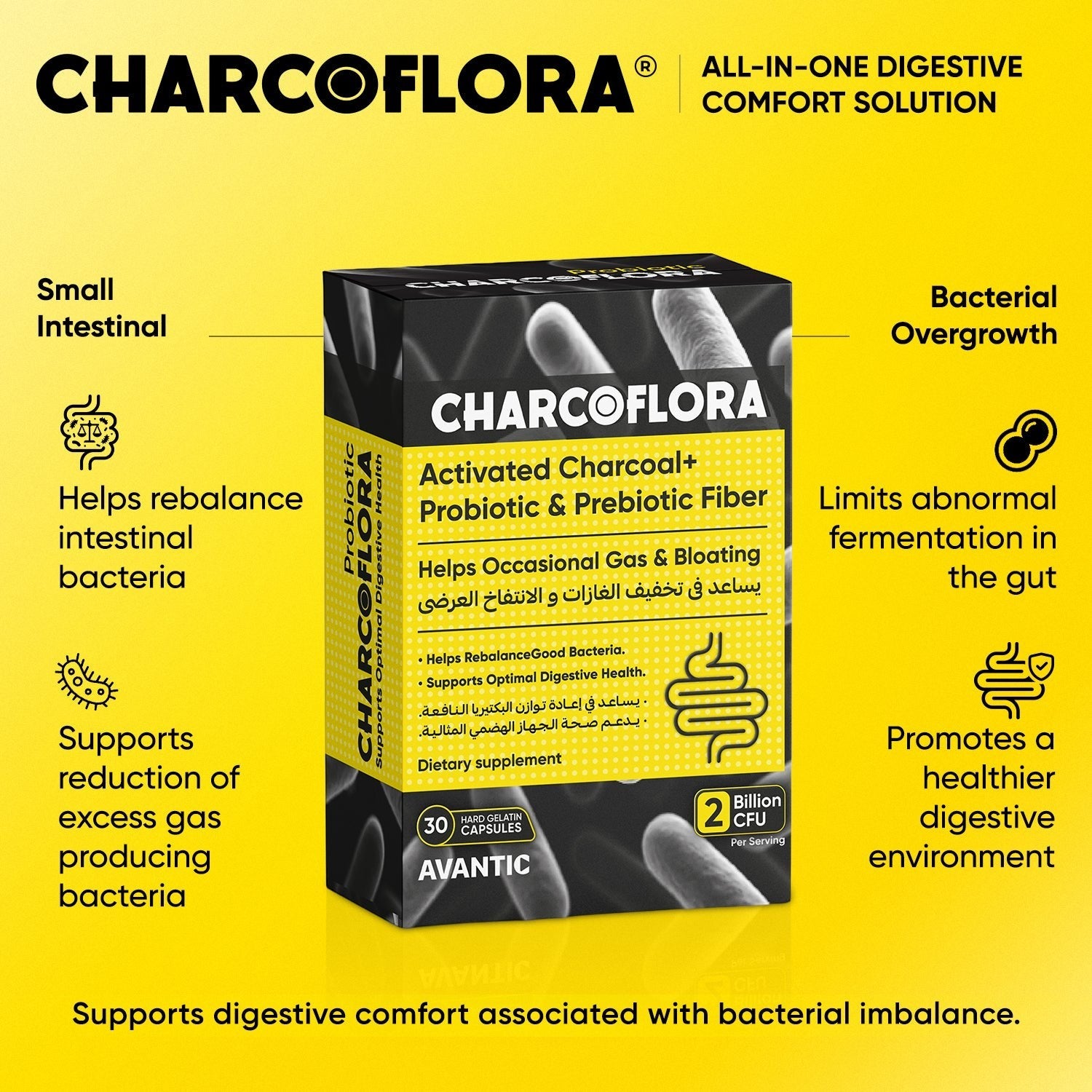 Avantic Charcoflora Capsules | Activated Charcoal, Probiotics & Prebiotic Fiber – 30 Capsules