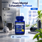 Ginko Multivit – Daily support for focus and memory [en]