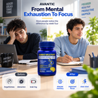 Ginko Multivit – From mental exhaustion to better focus [en]