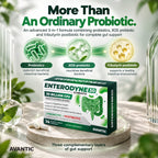 [en] Enterodyne 30 – 3-in-1 synbiotic: probiotics, XOS prebiotic and tributyrin postbiotic