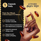 Avantic Activated Black Seed Oil 1000mg Softgels | Immune Support – 30 Softgels