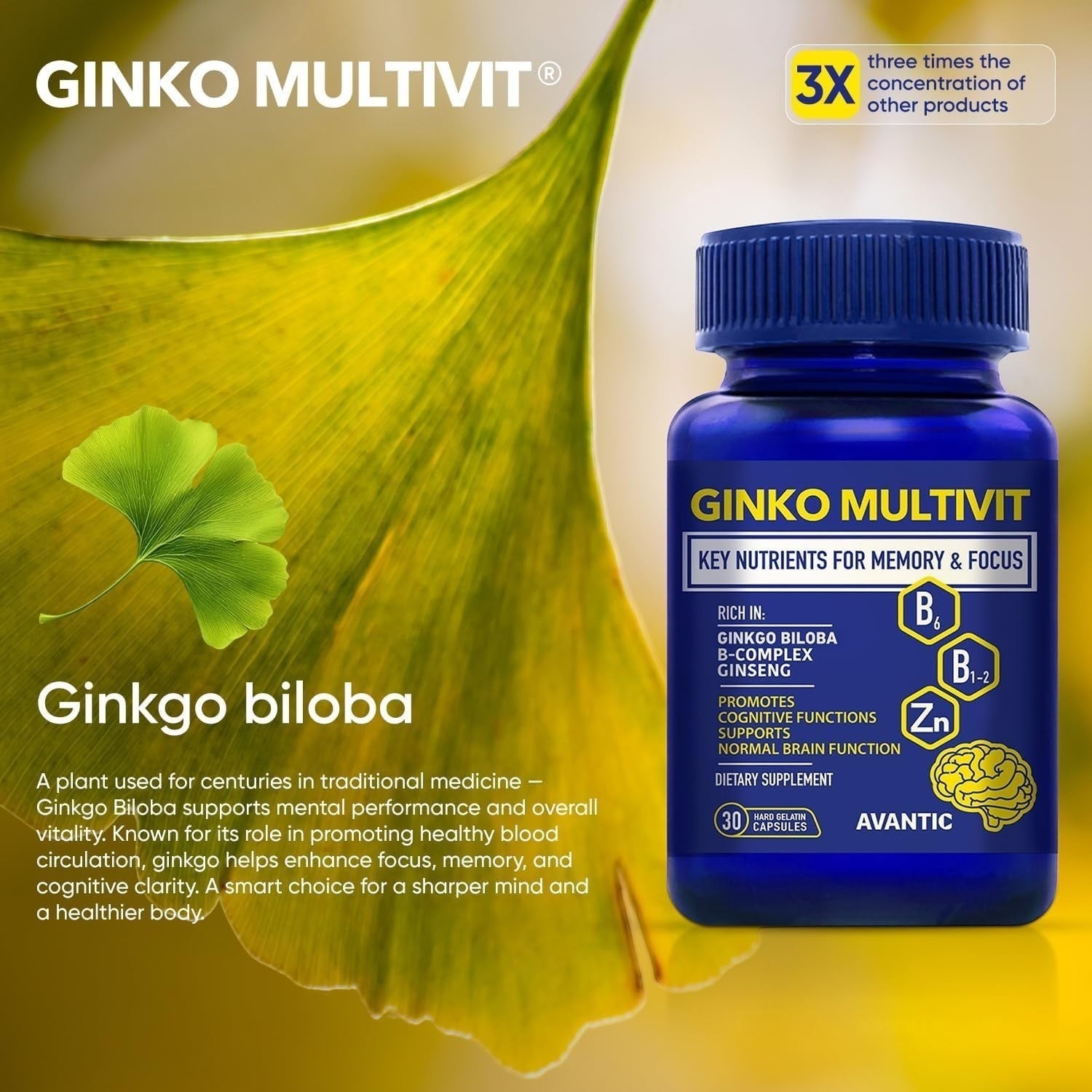 Avantic Ginko Multivit Capsules | Ginkgo Biloba, Panax Ginseng & B-Complex – 30 Capsules